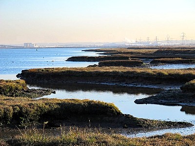 The Eastern Edge of Chetney Marshes